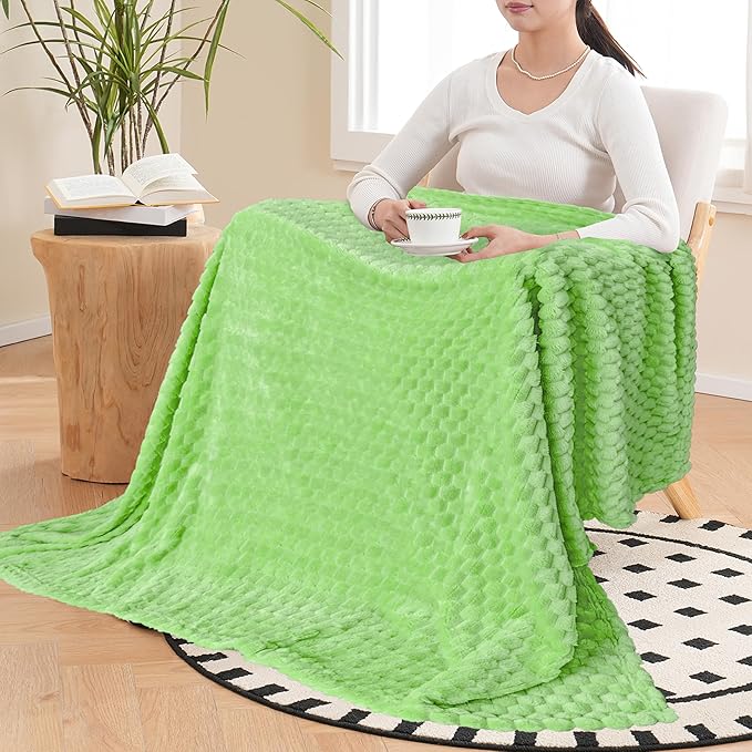 Vessia Flannel Fleece Throw Blanket, 3D Jacquard Light Green Fuzzy and Warm Blanket for Couch,Sofa,Bed,Chair, 300GSM Soft Touch Cozy Throw for All-Season Home Decor(50x40inch)