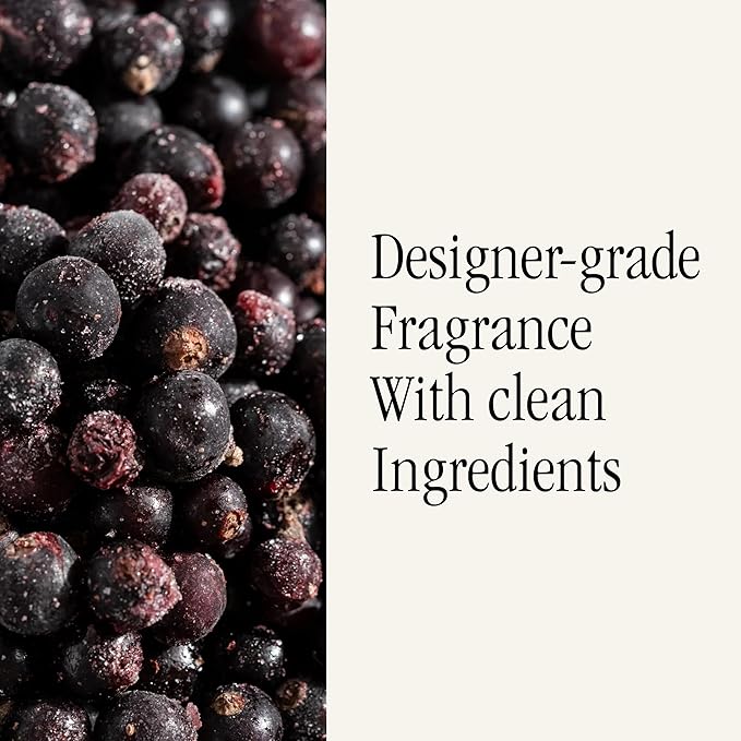 Pura & Antica Farmacista Home Scent Refill - Smart Home Air Diffuser - Up to 120-Hours of Luxury Fragrance per Refill - Household Essential - Safe - 2 Pack, Prosecco