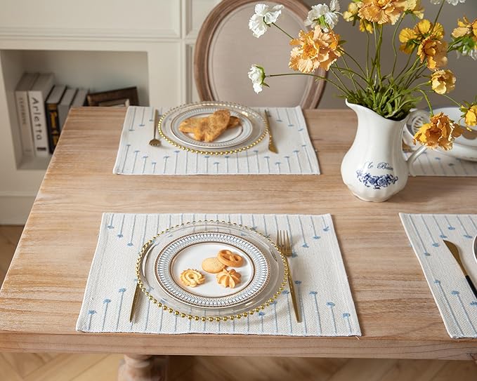 Placemats Set of 6 for Dining Table Décor, Woven Cloth Place Mats for Farmhouse Kitchen Tabletop, Handcrafted Machine Washable Cotton Table mats 13 x 19 Inch, Light Blue and Beige