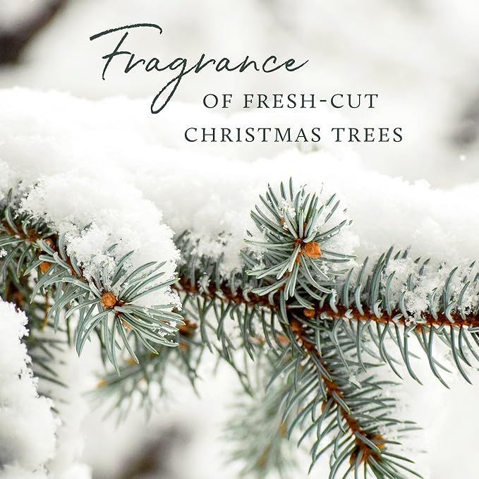 Thymes Frasier Fir Candles - Statement Collection - Silver with Pine Needle Design - Scented Candles for Home Decor - Notes of Siberian Fir Needles, Cedarwood & Sandalwood - 3 Wick (12.5 oz)