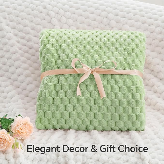 BEDELITE Fleece Twin Blanket for Couch & Bed - 3D Jacquard Decorative Light Green Throw, Super Soft and Cozy Warm Fuzzy Blanket All Seasons Suitable, 50x60Inches
