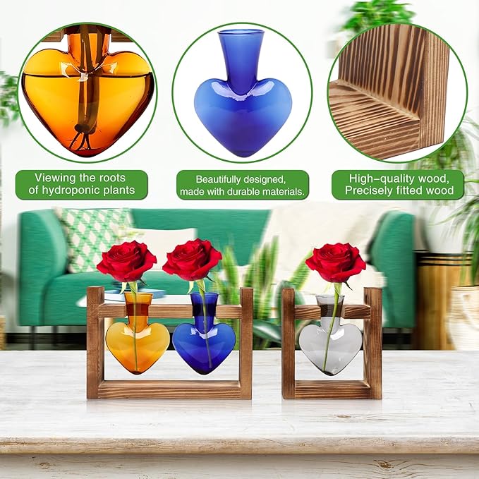 2+1 Plant Terrarium Plant Propagation Station Birthday Gifts for Women Plant Lovers Home Office Decor with Wooden Stand