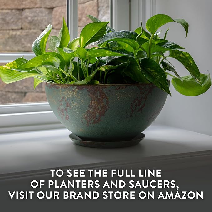 Classic Home and Garden Rosie Modern Planter w/Drainage - Contemporary Planter Bowls - Shallow Round Vases for Small Plants - Versatile Indoor & Outdoor Pots (10” Northern Lights)