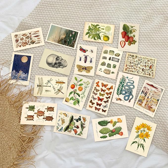 LA MAISON COZY 50PCS Boho Wall Collage Kit, Boho Room Posters Art Print, 4x6'' Vintage Wall Decor Gift for Teen Girls' Dorm Room
