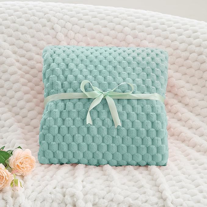 BEDELITE Jacquard Blanket - 3D Fleece Decorative Haze Blue Throw Blanket, Super Soft and Cozy Warm Fuzzy Blanket All Seasons Suitable, 50x60Inches