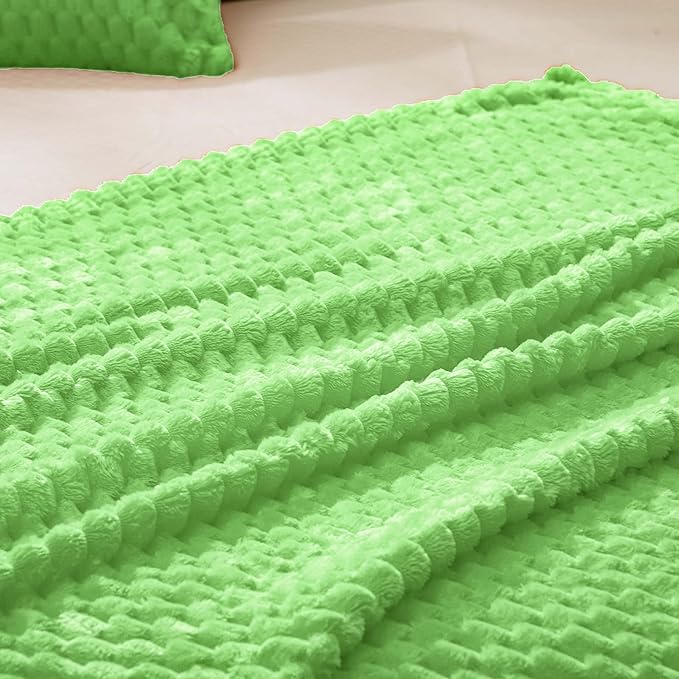 Vessia Flannel Fleece Throw Blanket, 3D Jacquard Light Green Fuzzy and Warm Blanket for Couch,Sofa,Bed,Chair, 300GSM Soft Touch Cozy Throw for All-Season Home Decor(50x40inch)