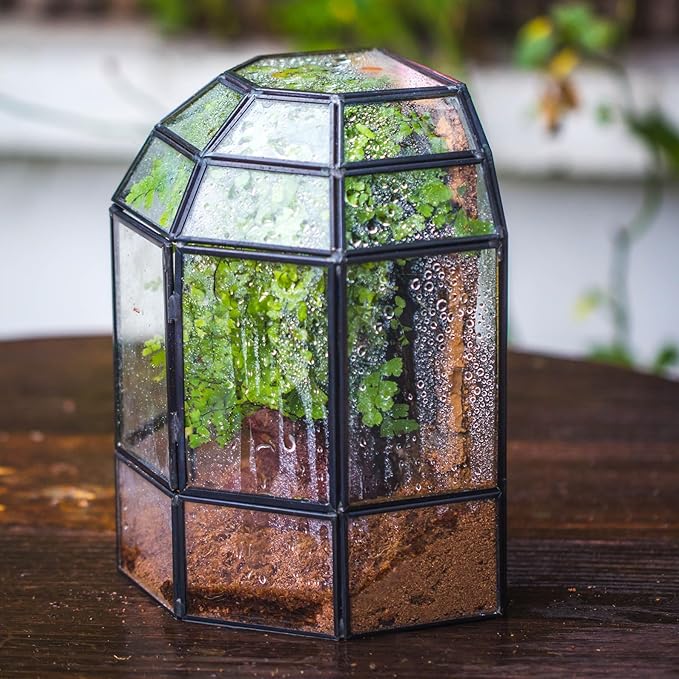 NCYP Half Dome Geometric Glass Terrarium with Door, Closed Succulents Planter Pot, Miniature Landscape Container, Indoor Tabletop Decor, Black (Terrarim Only)