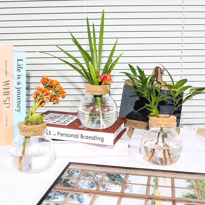 Plant Propagation Station,Hydroponic Terrarium Vase,Desktop Glass Planter Station,for Houses,Garden Decorations,ropagating Hydroponic Plants,Centerpiece Office,Home Garden Decor (9)