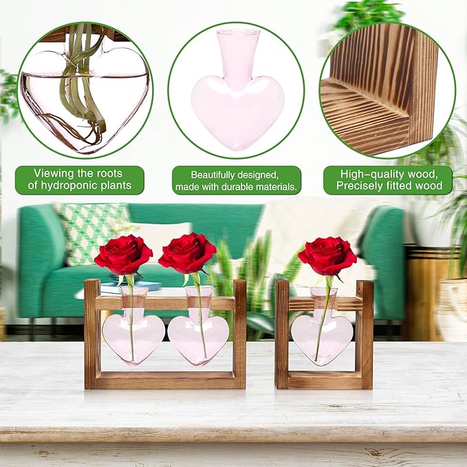 2+1 Plant Terrarium Plant Propagation Station Birthday Gifts for Women Plant Lovers Home Office Decor with Wooden Stand