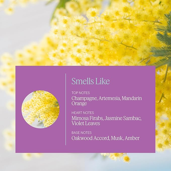Aera Mini Destinations Paris - Essential Oil for Home – Sweet and Floral Fragrance - Notes of Champagne and Macarons - Scent Refill - Capsule Size Works with Mini Diffuser