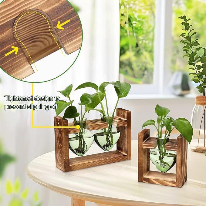 2+1 Plant Terrarium Plant Propagation Station Birthday Gifts for Women Plant Lovers Home Office Decor with Wooden Stand