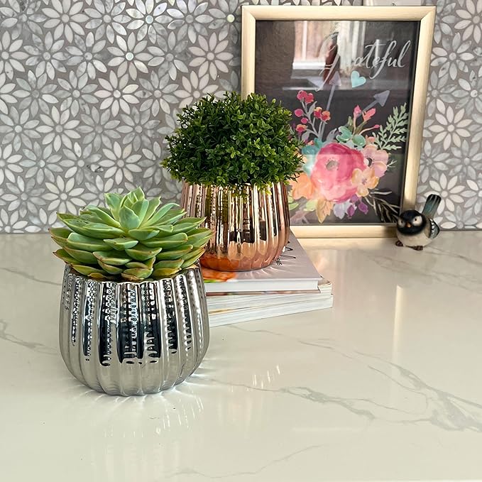 Admired by Nature 4" Ceramic Flower Planter, Ceramic Pot Planter, Indoor Ceramic Bowl, Houseplant Ceramic Pot, Decorative Planter for Indoor Plant Succulent Plant Home Décor, Lightweight, Chrome
