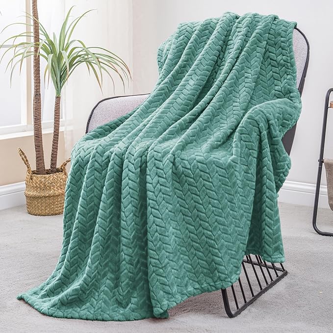 Exclusivo Mezcla Celadon Fleece Throw Blanket for Couch and Bed, 50x70 Inches Soft Cozy Jacquard Flannel Blankets, Lightweight Fuzzy Plush Warm Throws for All Seasons