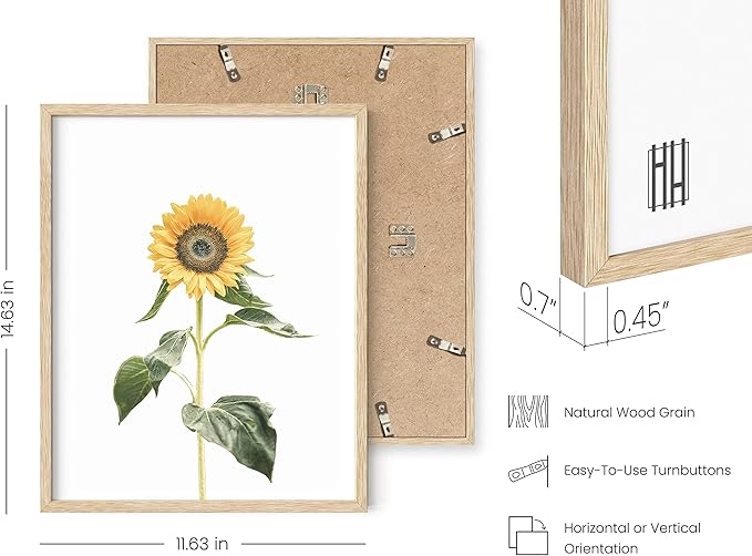 HAUS AND HUES Sunflower Wall Decor and Sunflower Posters Set of 4 Sunflower Bedroom Decor Sunflower Paintings for Wall Yellow Wall Art Kitchen Decor (Sunflower Set Collage 11x14 Framed Beige)