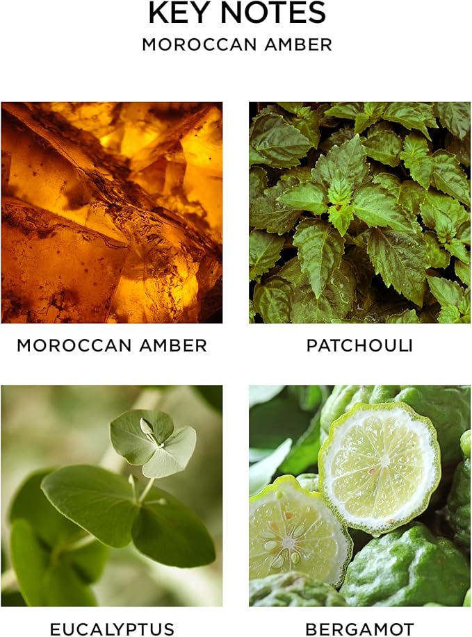 NEST New York Reed Diffuser, Moroccan Amber - 5.9 fl oz - Fragrance for Up to 90 Days - Reusable, Refillable Glass Holder - Includes 8 All-Natural Reed Sticks - Flame Free