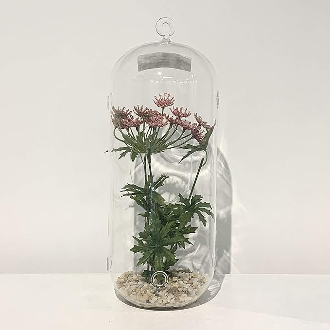 WGV Hanging Glass Plant Terrarium, Width 5", Height 12", Lantern DIY Air Succulent Planter Clear Tea Light Votive Candle Holder, Wedding Event Office Home Outdoor Decor, 1 Piece