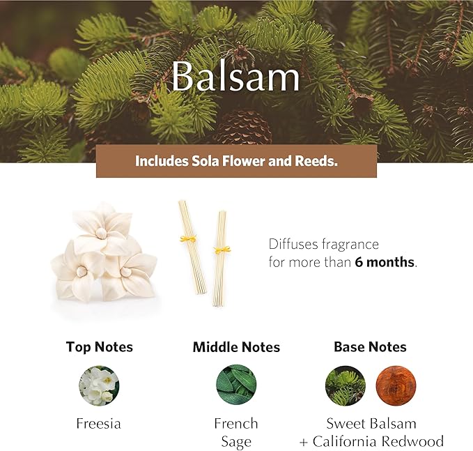 AGRARIA AirEssence Flower and Reed Diffuser Set, Hand Crafted Sola Flower Botanical Home Fragrance Diffuser, Scented Oil Reed Diffuser, Flower and Reed Diffuser Gift Set for All Occasions
