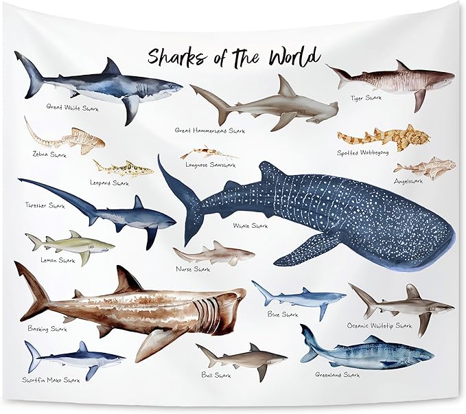 KAIOUS Shark Tapestry, Shark Educational Wall Hanging Tapestries for Kids Girls Boys Room Bedroom Dorm Classroom Nursery Decor 50x58 Inches