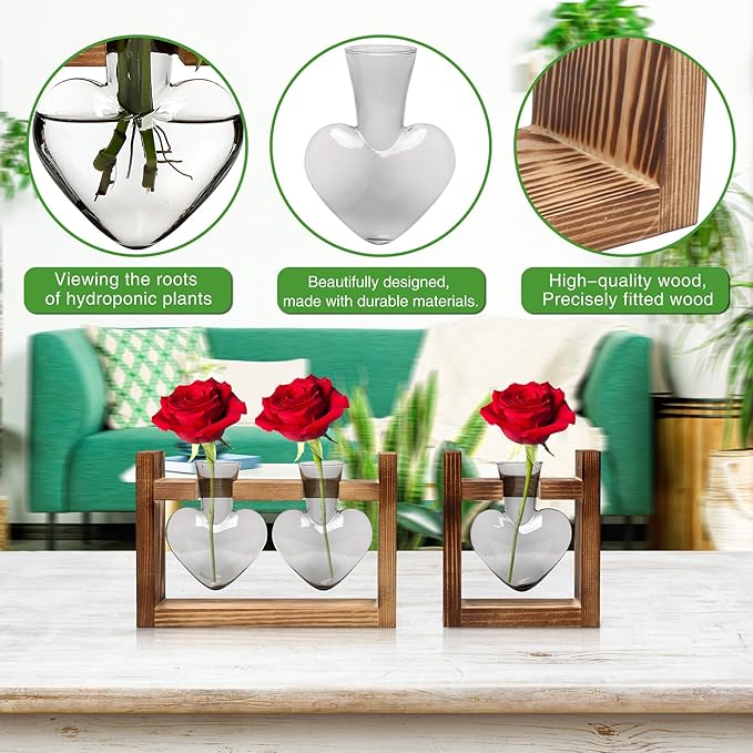 2+1 Plant Terrarium Plant Propagation Station Birthday Gifts for Women Plant Lovers Home Office Decor with Wooden Stand