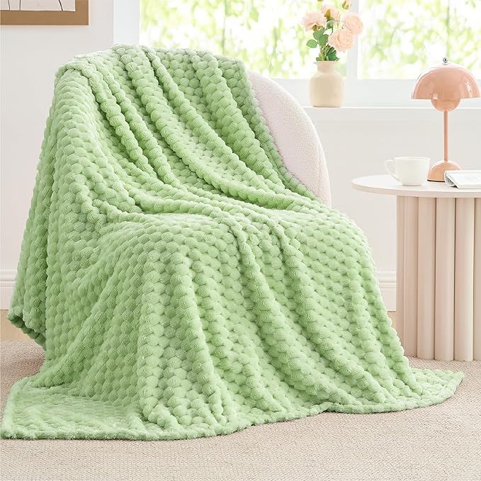 BEDELITE Fleece Twin Blanket for Couch & Bed - 3D Jacquard Decorative Light Green Throw, Super Soft and Cozy Warm Fuzzy Blanket All Seasons Suitable, 50x60Inches