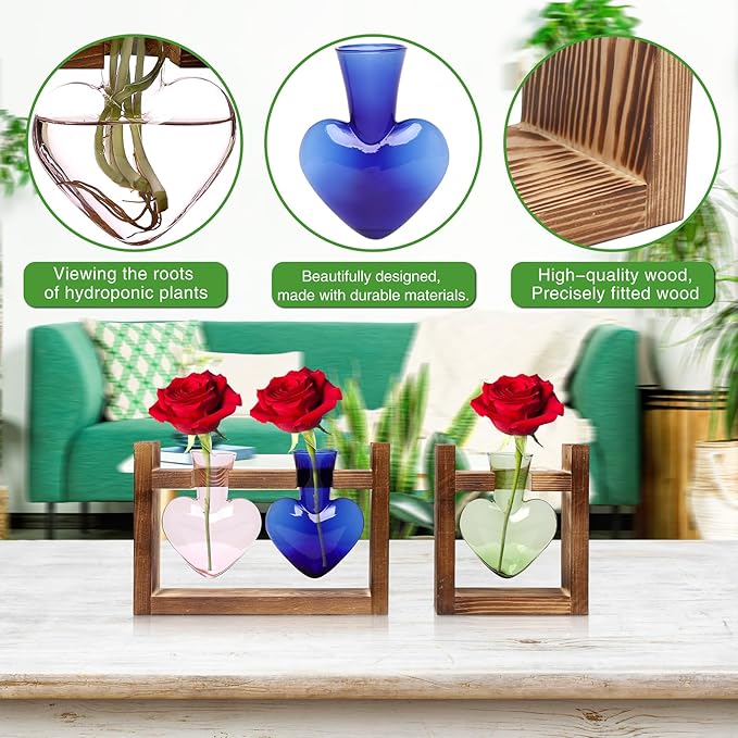 2+1 Plant Terrarium Plant Propagation Station Birthday Gifts for Women Plant Lovers Home Office Decor with Wooden Stand