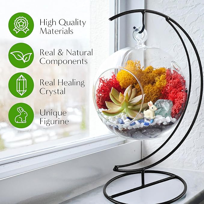 5" Glass Globe Succulent Terrarium Kit, Hanging DIY Starter Kit for Kids and Adult, Metal Stand, Reindeer Moss, Crystal & Rocks, Tools, Figurine (Live Plant Included)