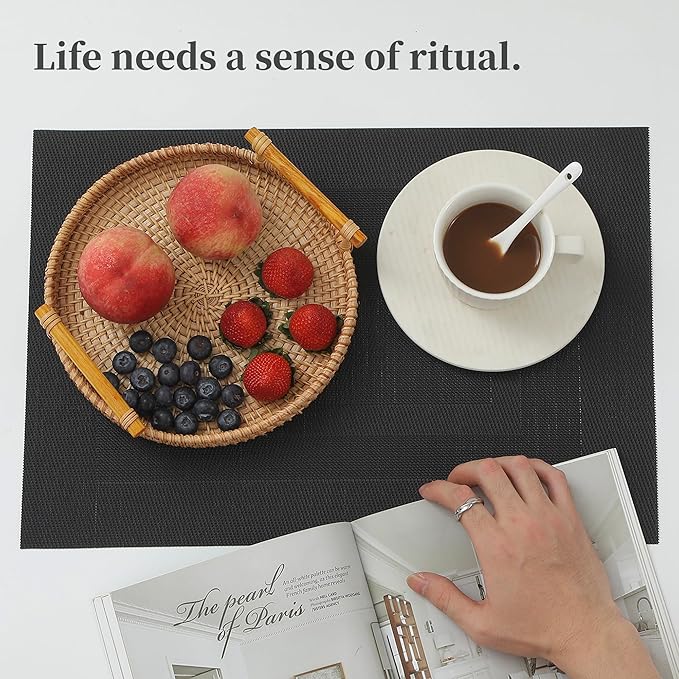 Leetaltree Black Frame Placemats Set of 6 - Heat Resistant Non-Slip Place mats for Dining Table, Washable Durable PVC Vinyl Woven Table Mats(Black Frame, 6)