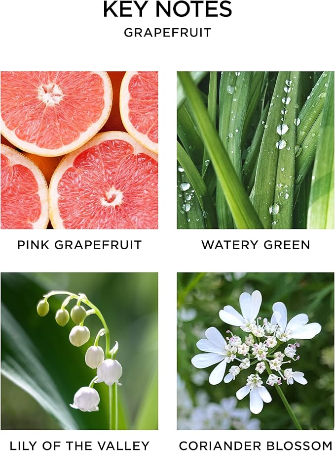 NEST New York Reed Diffuser, Grapefruit - 5.9 fl oz - Fragrance for Up to 90 Days - Reusable, Refillable Glass Holder - Includes 8 All-Natural Reed Sticks - Flame Free