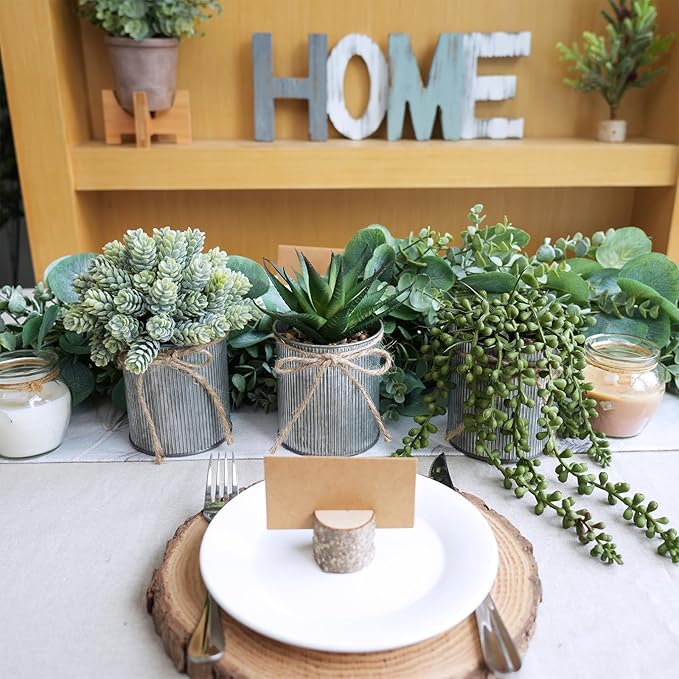 Winlyn Set of 3 Small Artificial Succulent Potted Plants Faux Aloe Hops Hanging Succulent in Rustic Galvanized Metal Pots Fake Plant Decor for Farmhouse Home Office Wedding Windowsill Table Shelf
