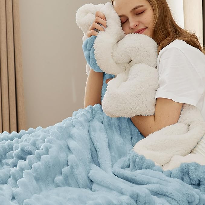Bedsure Sherpa Throw Blanket for Couch - Super Soft Cozy Fleece Thick Warm Blanket for Winter, Plush Sky Blue Throw Gift for Women, 50x60 Inches