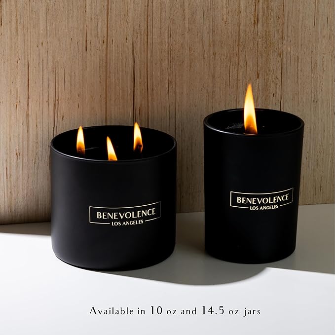 Benevolence LA Charcoal Scented Candle | Soy Candles, Black Candle for Home | Gifts for Women and Men | Home Fragrance | Aromatherapy | Bathroom Freshener | 10oz