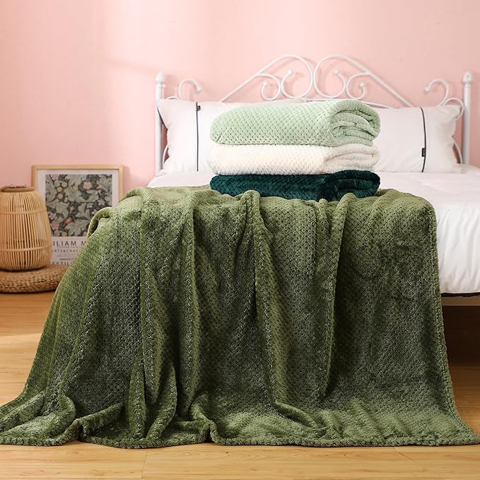 Newwiee 4 Pcs Flanne Fleece Throw Blanket for Bed Couch Large 3D Waffle Textured Soft Blanket Winter Warm Lightweight No Shedding No Pilling Decorative Throw, 50x60 Inch(Gradient Green)