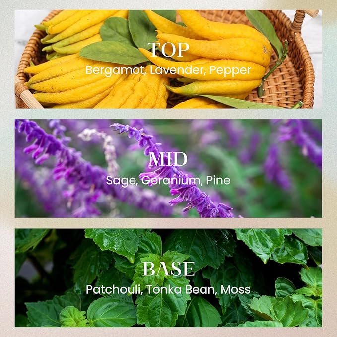 M&SENSE 10.14 oz Large Reed Diffuser | Midsummer Evening Scent Oil Diffuser with Sticks |Long Lasting Non-Toxic Essential Oil |Reed Diffuser for Bathroom Shelf Decor