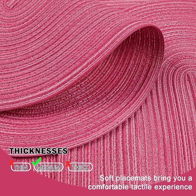 Noctiflorous Oval Braided Placemats Set of 6 Woven 12x18 Inch Non Slip Washable Heat Resistant Place Mats Tablemats for Dining Kitchen Party Daily Table Decor Dinner Mats (Hot Pink, 6)