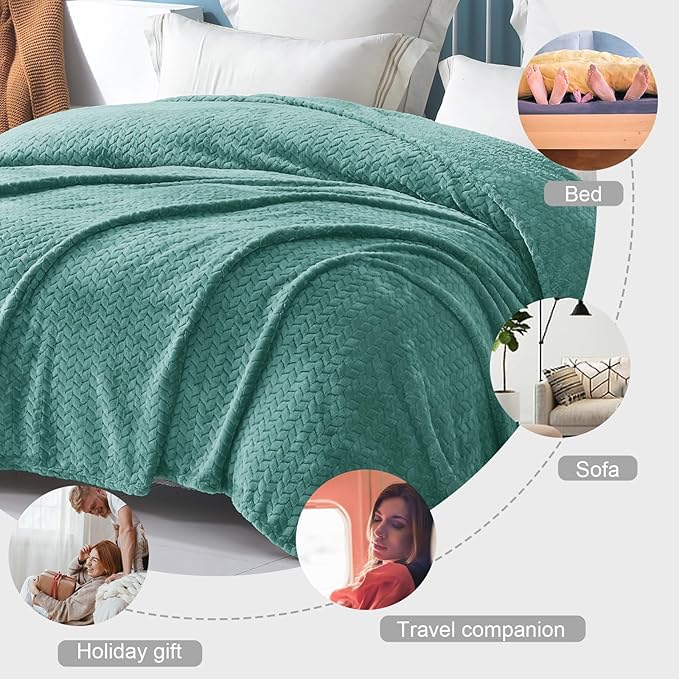Exclusivo Mezcla Celadon Fleece Throw Blanket for Couch and Bed, 50x70 Inches Soft Cozy Jacquard Flannel Blankets, Lightweight Fuzzy Plush Warm Throws for All Seasons