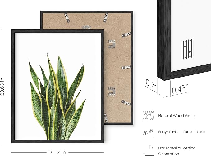 HAUS AND HUES Plant Wall Art - Set of 4 Plant Pictures Wall Art and Green Wall Art Collection, Botanical Prints, Sage Green Leaves Paintings For Wall, Minimalist Wall Art (Black Frame, 16x20)