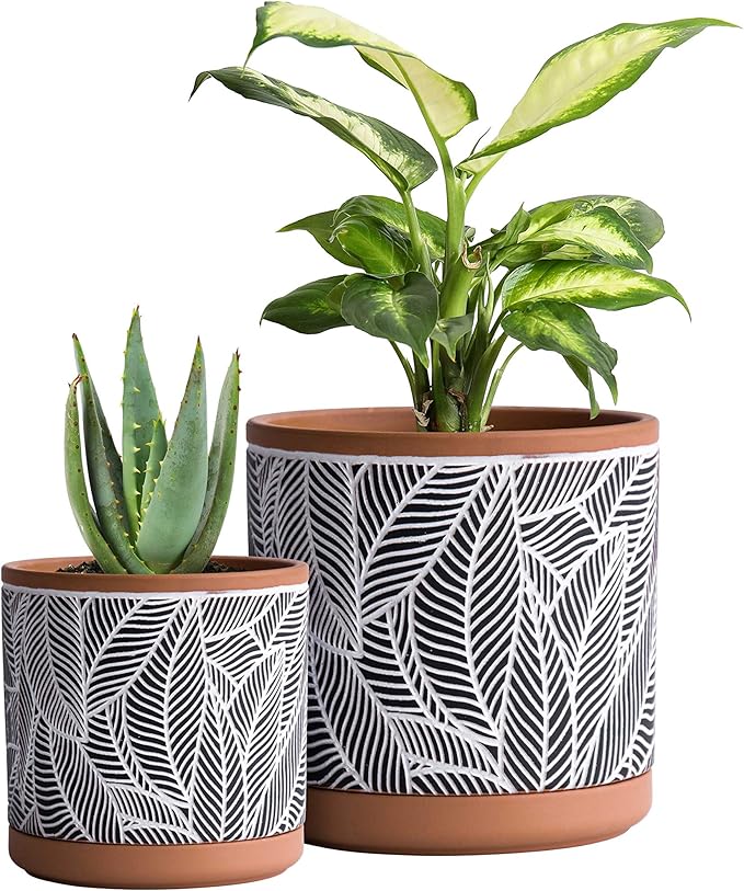 D'vine Dev Set of 2 Terracotta Pots, Leaves Pattern Planter Pot, 4 Inch and 6 Inch, Pot with Drainage Hole and Saucer, Terracotta/Black, 31-958-I-2