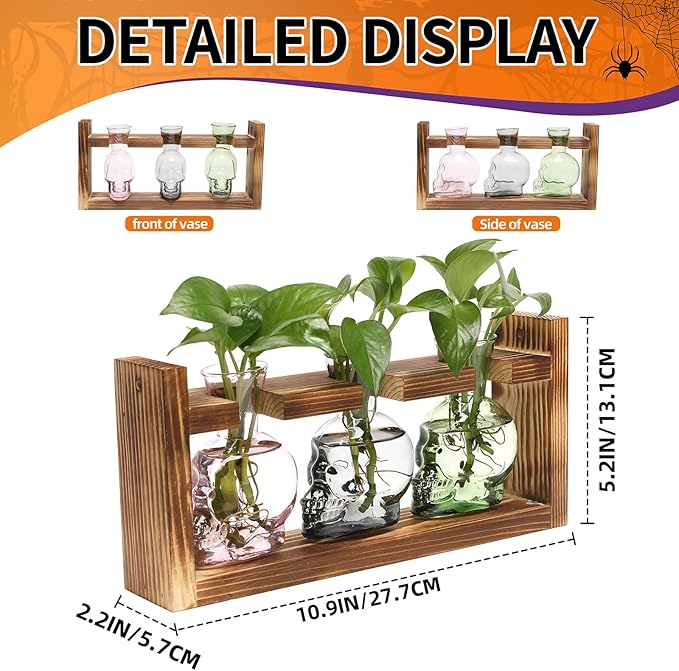 Plant Terrarium Propagation Stations Hydroponics Halloween Skull Planter Vase Skulls Decor with Wooden Stand Gife for Father