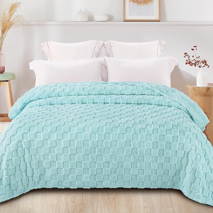 Exclusivo Mezcla Twin Size Flannel Fleece Blanket, Super Soft and Warm Lightweight Checkered Pattern Blankets for All Seasons, 60x80 Inches, Light Blue