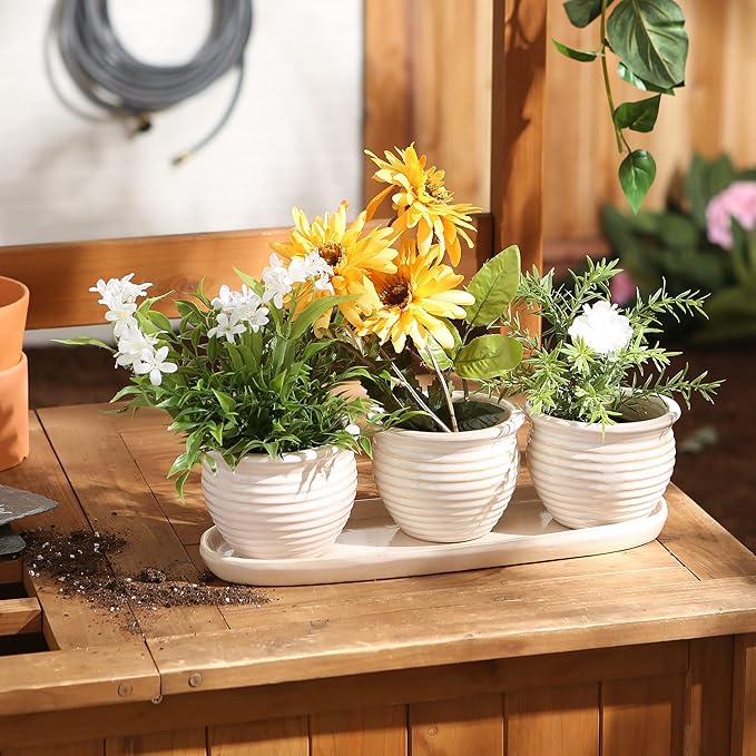 DII Ceramic Planter Collection Herb Pot Set, Cream Round, 13x75x4.5x4