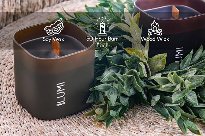 Set of 3 Scented Soy Candles Gift Set | Dusk to Dawn Collection | 3 Scented Candles - Canadian Cedar, Black Amber, and Sandalwood | Crackling Wood Wick | Clean Burn | 50+HR Burn Time, 9.8oz Each