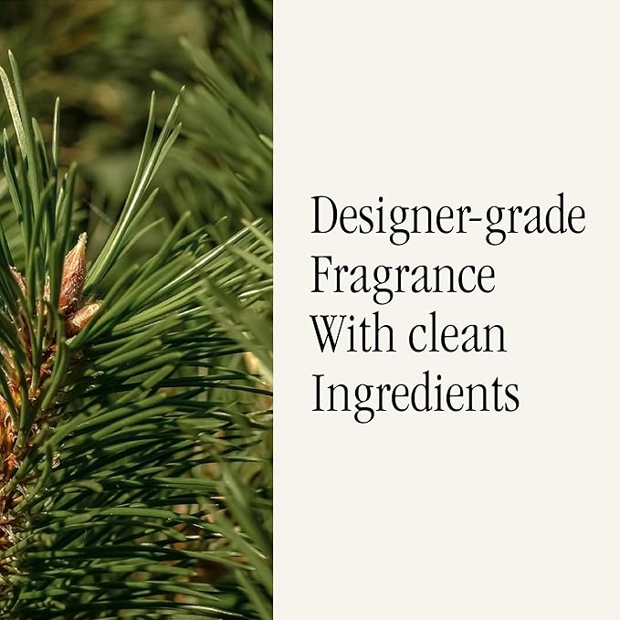 Pura & K. Hall Designs Home Scent Refill - Smart Home Air Diffuser - Up to 120-Hours of Premium Fragrance per Refill - Household Essential - Clean Diffuser Fragrance - 2 Pack, Siberian Fir