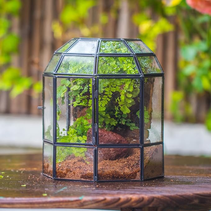 NCYP Half Dome Geometric Glass Terrarium with Door, Closed Succulents Planter Pot, Miniature Landscape Container, Indoor Tabletop Decor, Black (Terrarim Only)