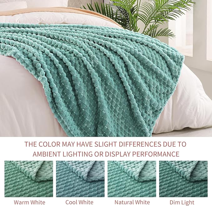 Exclusivo Mezcla Queen Size Soft Fleece Blanket, 90x90 Inches Stylish Jacquard Velvet Blanket for Bed, Fuzzy Cozy Lightweight for All Season, Celadon