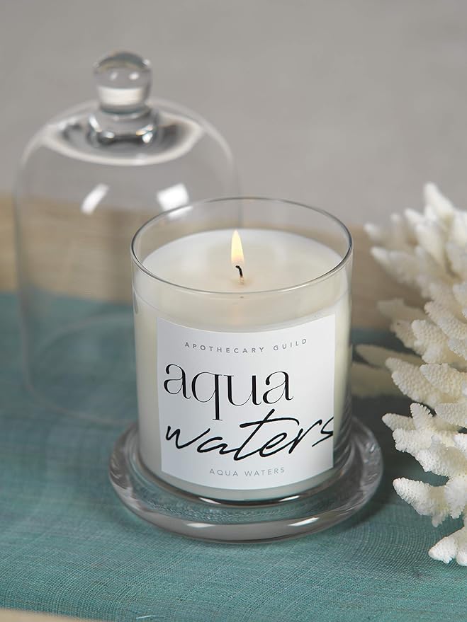 Zodax Aqua Waters Apothecary Guild 10 Ounce Scented Jar Candle with Dome