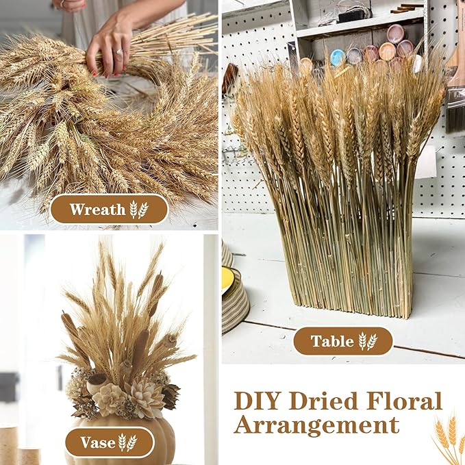 500 Pcs Dried Flower Dried Wheat Stalks Wheat Grass Decor Dried Flowers Arrangement for Home Table Wedding DIY Design Party Farmhouse Decor (16")