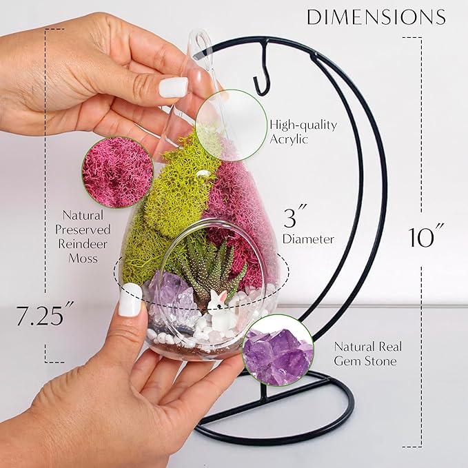 7" Teardrop Glass Succulent Terrarium Kit for Kids and Adults, Reindeer Moss, Crystal & Rocks, Tools, Figurine, Metal Hanger (Live Plant Included)
