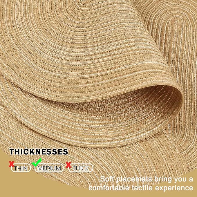 Noctiflorous Oval Braided Placemats Set of 6 Woven 12x18 Inch Non Slip Washable Heat Resistant Place Mats Round Tablemats for Dining Kitchen Party Daily Table Decor Dinner Mats (15 Coffee Brown, 6)