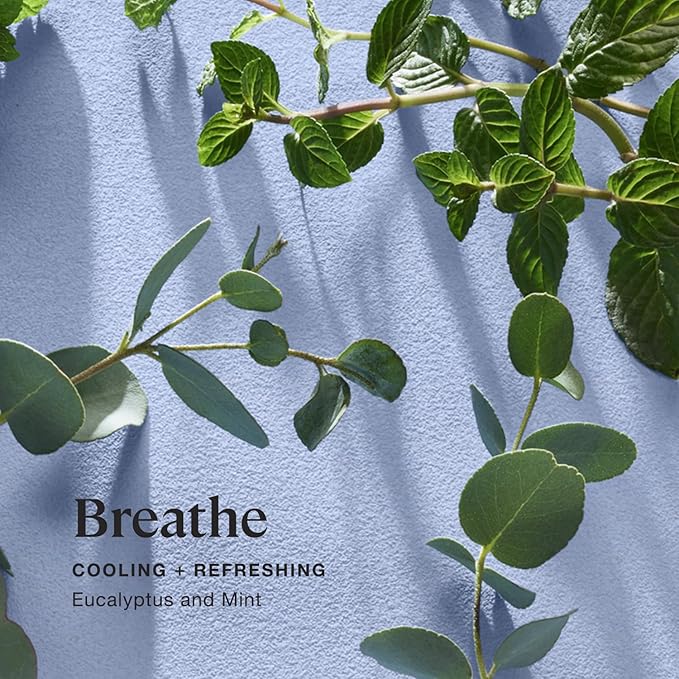 Sprig by Kohler Eucalyptus + Mint Bath Bomb, Natural Botanicals & Premium Skincare Ingredients (Shea Butter, Coconut Oil, & Kaolin Clay) to Cool and Refresh - Breathe