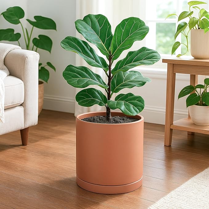 D'vine Dev Large 10 Inch Terracotta Plant Pot with Drainage Hole and Saucer, Round Cylinder Planter Pot for Indoor Plants, 40-X-A-5